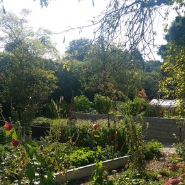 Botanischer Garten Augsburg in Augsburg