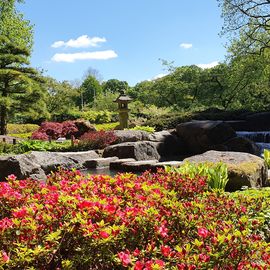 Botanischer Garten Augsburg in Augsburg