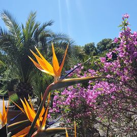 Botanischer Garten Augsburg in Augsburg