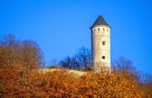 Nutzerbilder FriedWald Burg Plesse