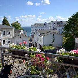 Über den Dächern von Alt-Sassnitz – unsere Schauwerkstatt am Meer