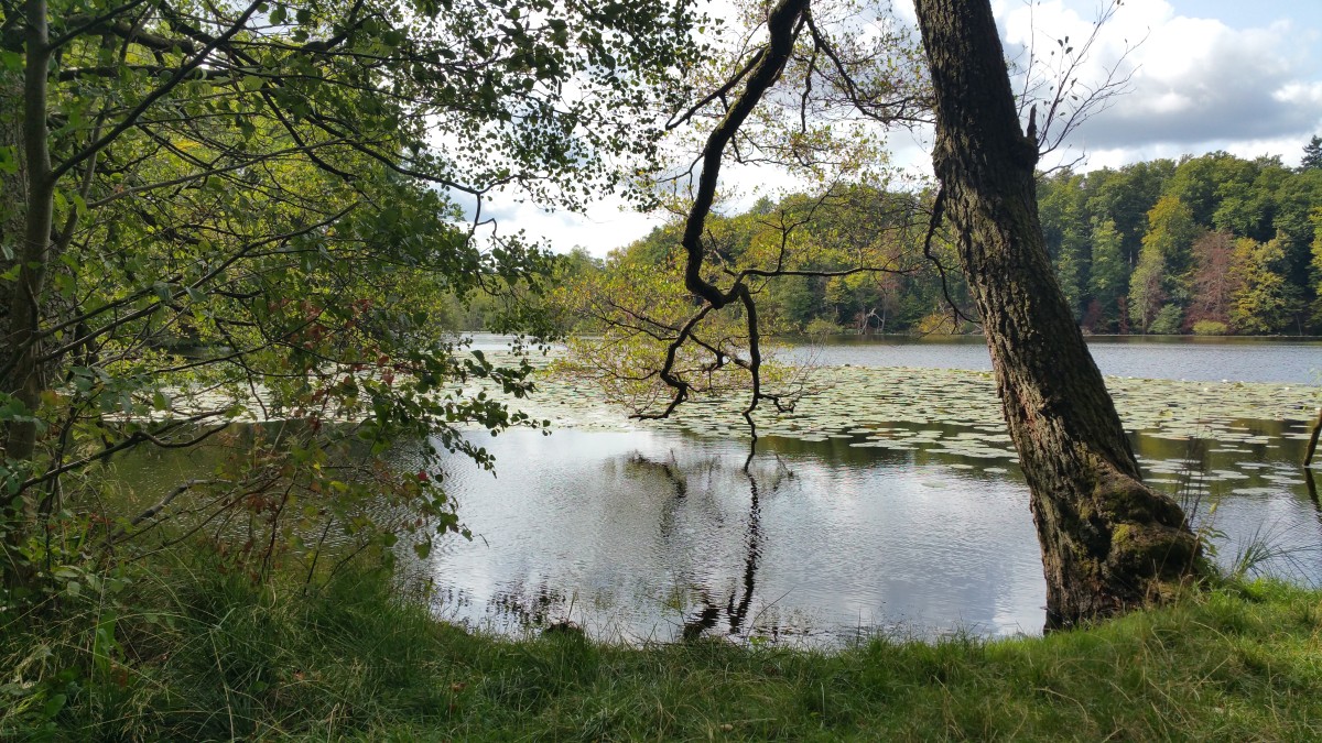 so wunderschöne Natur, ... ein Traum