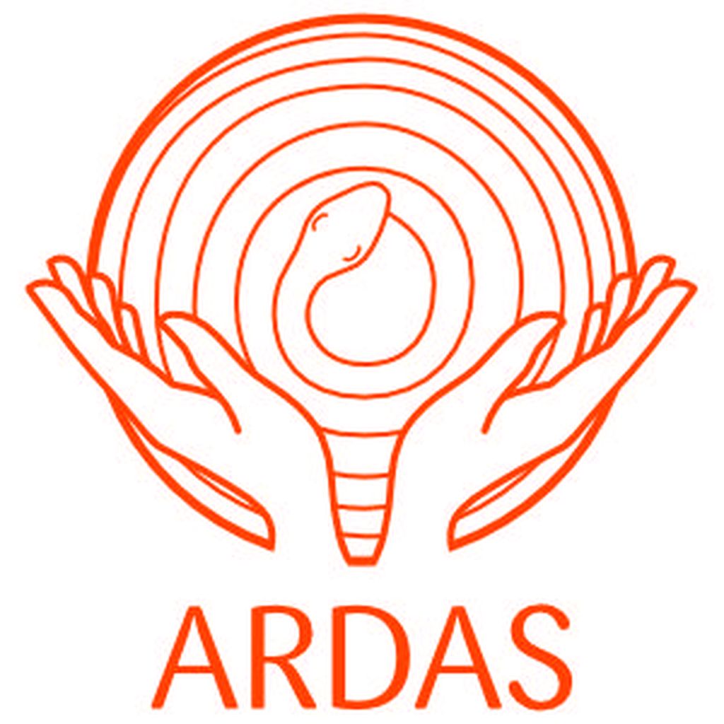 Nutzerfoto 5 ARDAS - Zentrum für Yoga & Gesundheit