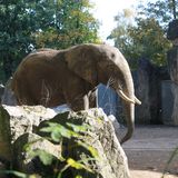 Zoo Duisburg in Duisburg