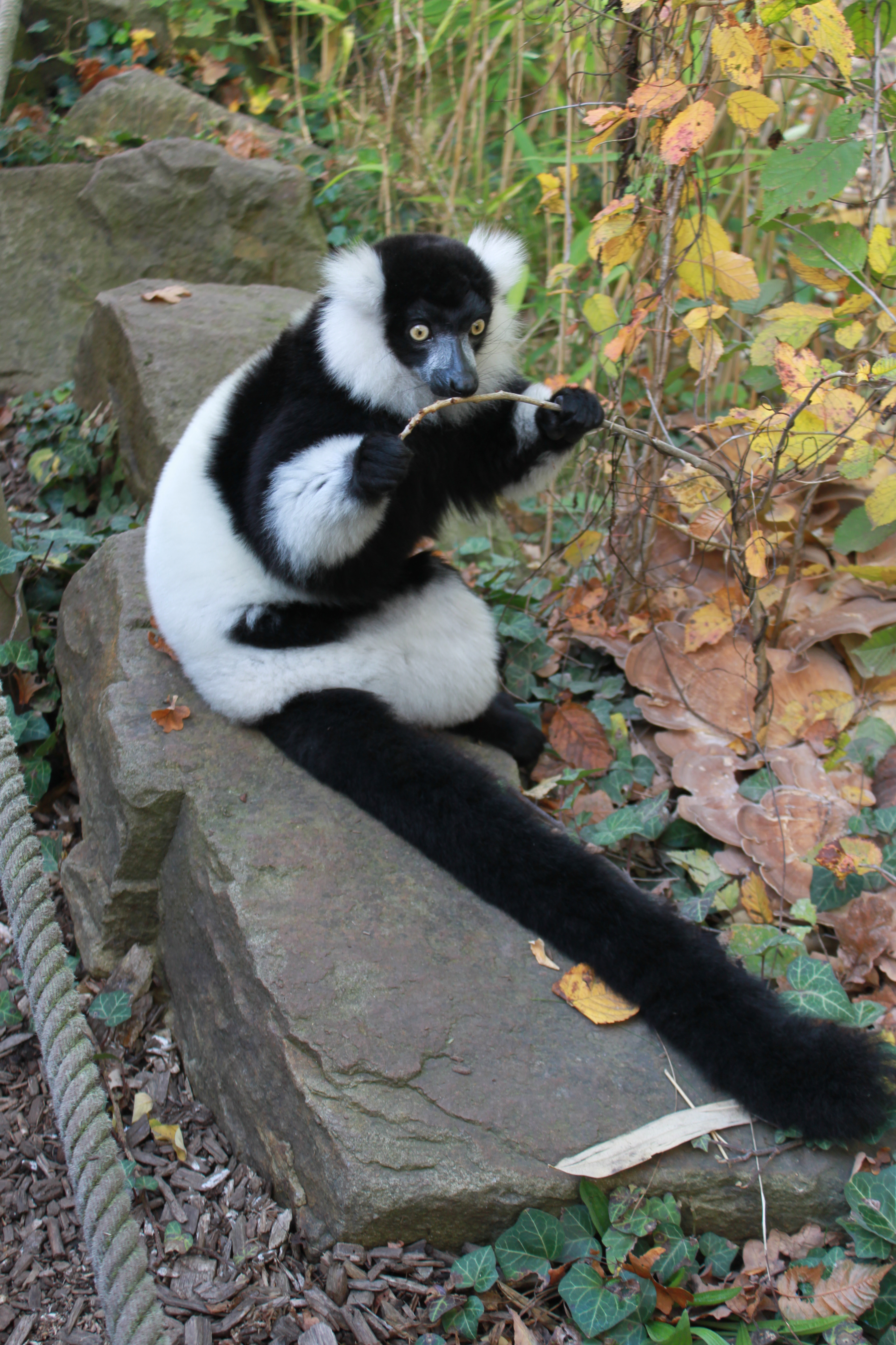 Zoo Duisburg