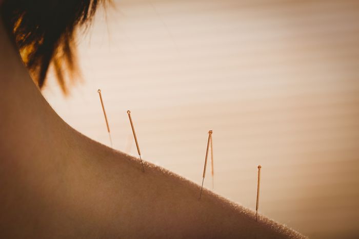 GINKGO Praxis für Akupunktur und Chinesische Medizin