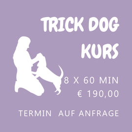 Trick-Dog Kurs - Angebot - Termin für Kursstart bitte anfragen.