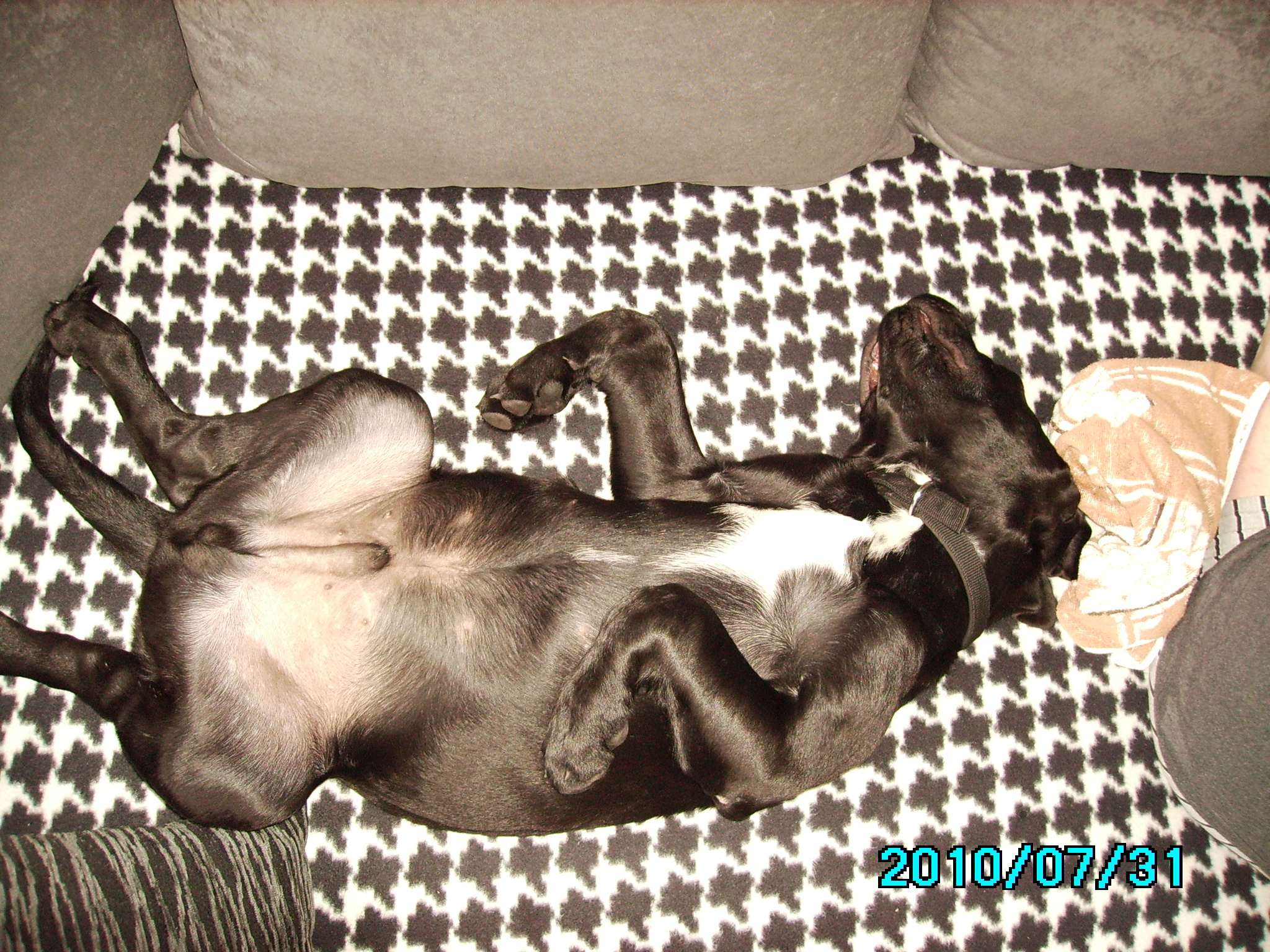 Herr&quot;Jagger&quot;voll relaxed