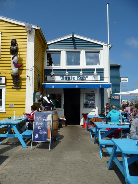 Helgoland - Bunte Kuh