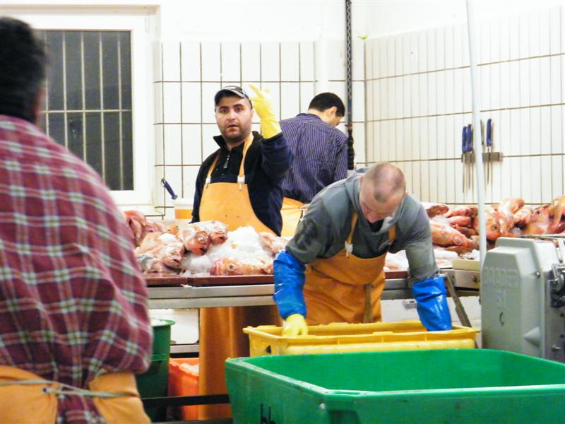 Fischmarkt Altona