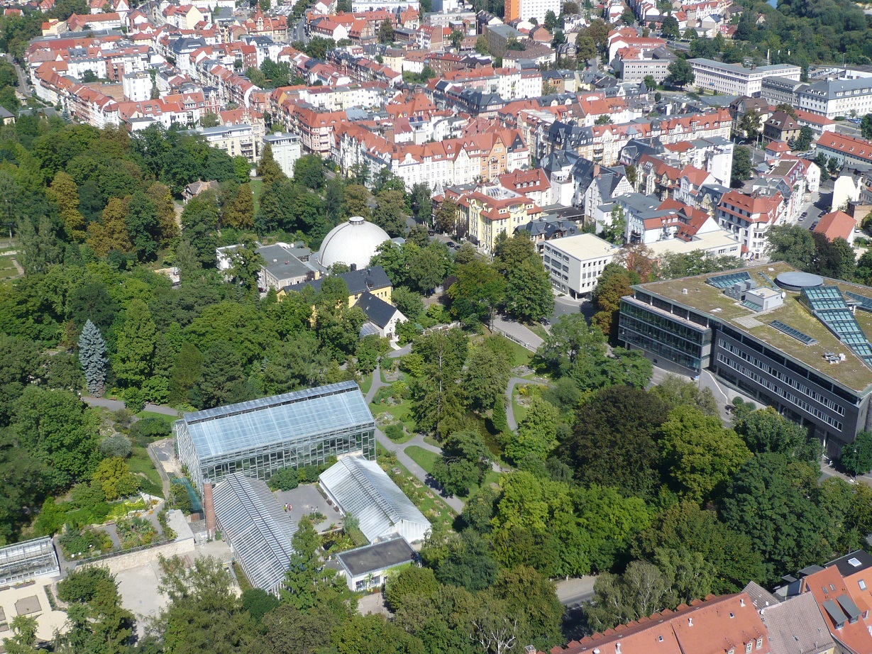 Blick von der Aussichtsplattform auf den Botanischen Garten