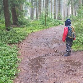 Naturkindergarten Buchholz e.V. in Buchholz in der Nordheide