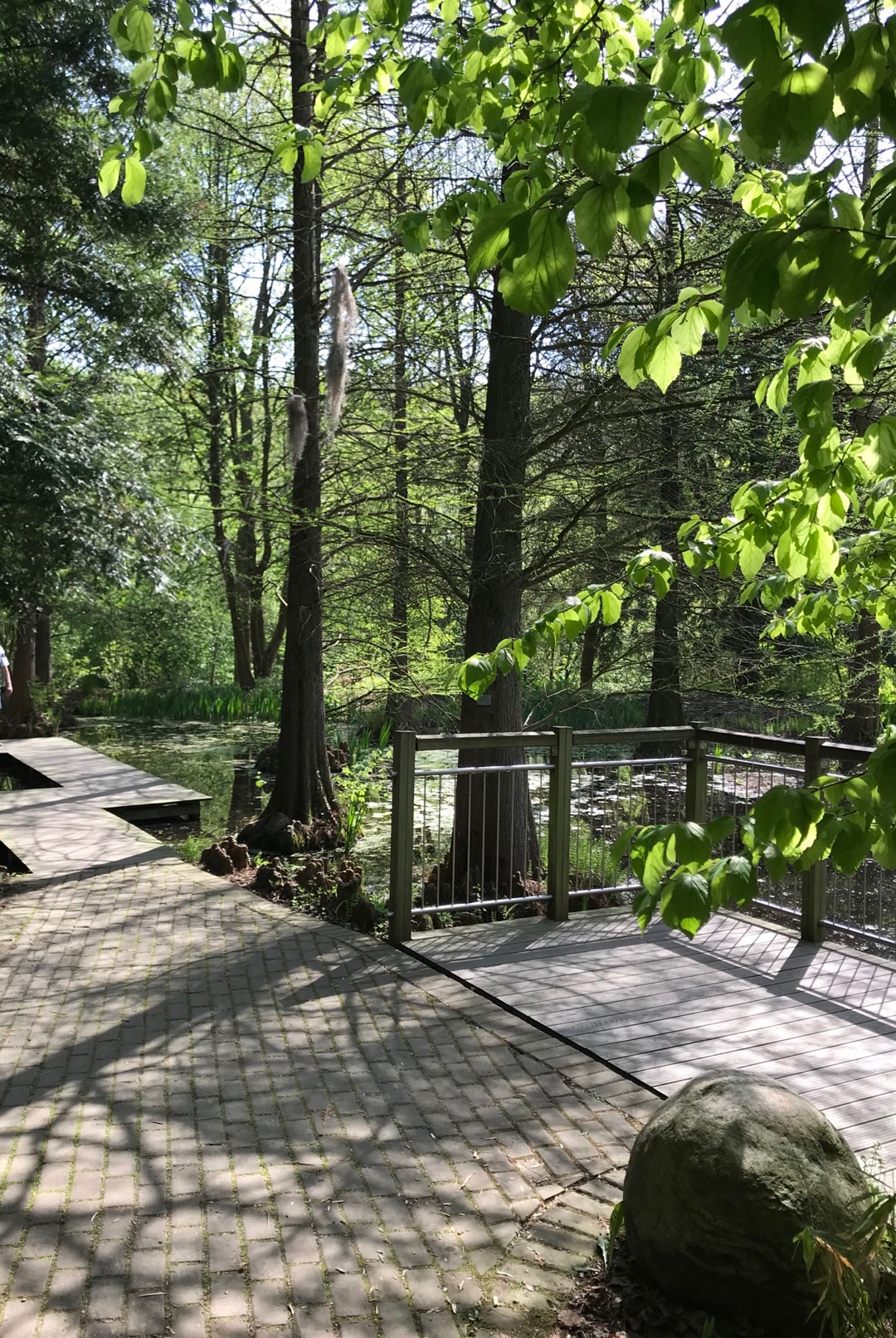 Bild 5 Botanischer Garten in Bochum