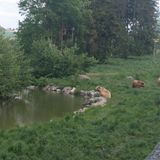 Wildpark Poing in Poing