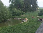 Nutzerbilder Wildpark Poing