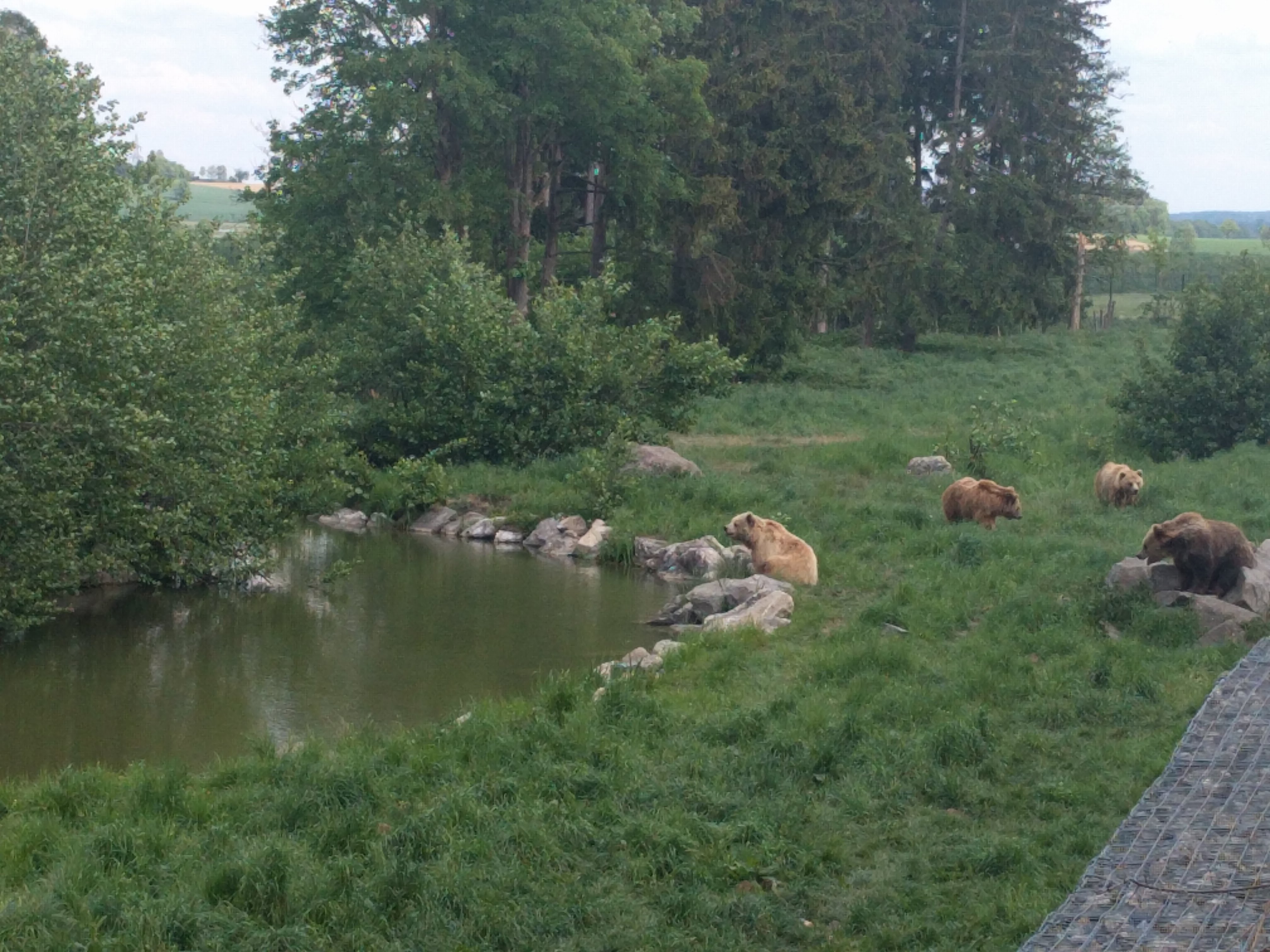 Bild 1 Wildpark Poing in Poing