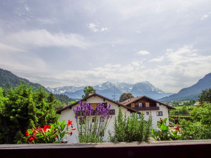 Nutzerbilder Ferienhaus Waldheim Schmid Anna