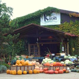 Koch Gemüsehalle Landwirtschaft in Liethe Stadt Wunstorf