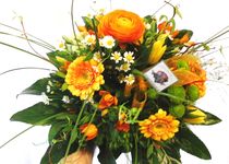 Bild zu Kultur-Blume Augsburg Blumen & Bonsai