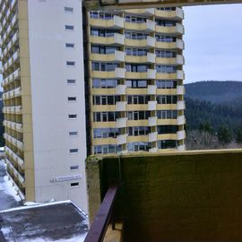 Panoramic Hotel in Braunlage