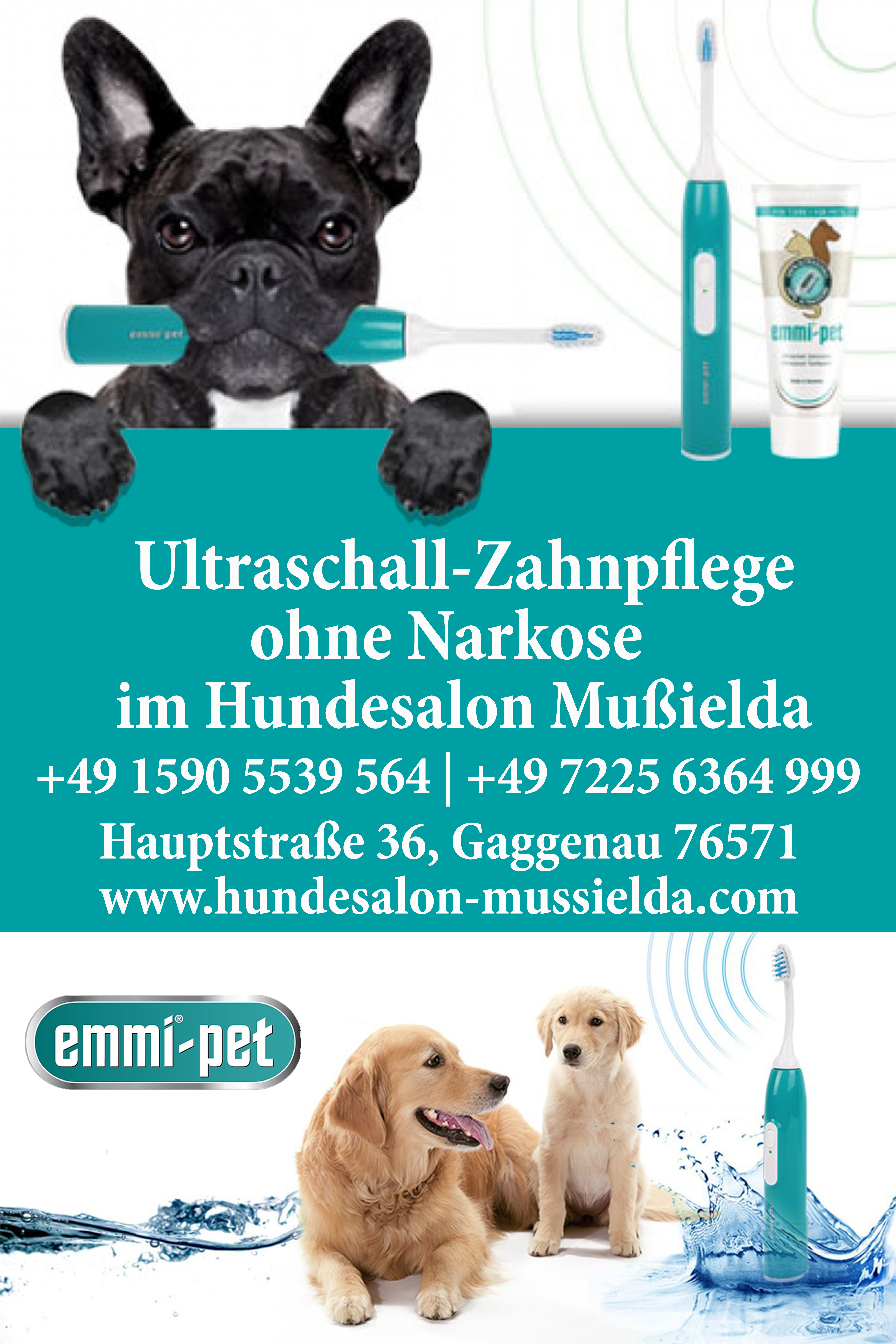 Zahnreinigung für Ihren Hund mit Ultraschall-Zahnbürste im Hundesalon Mußielda