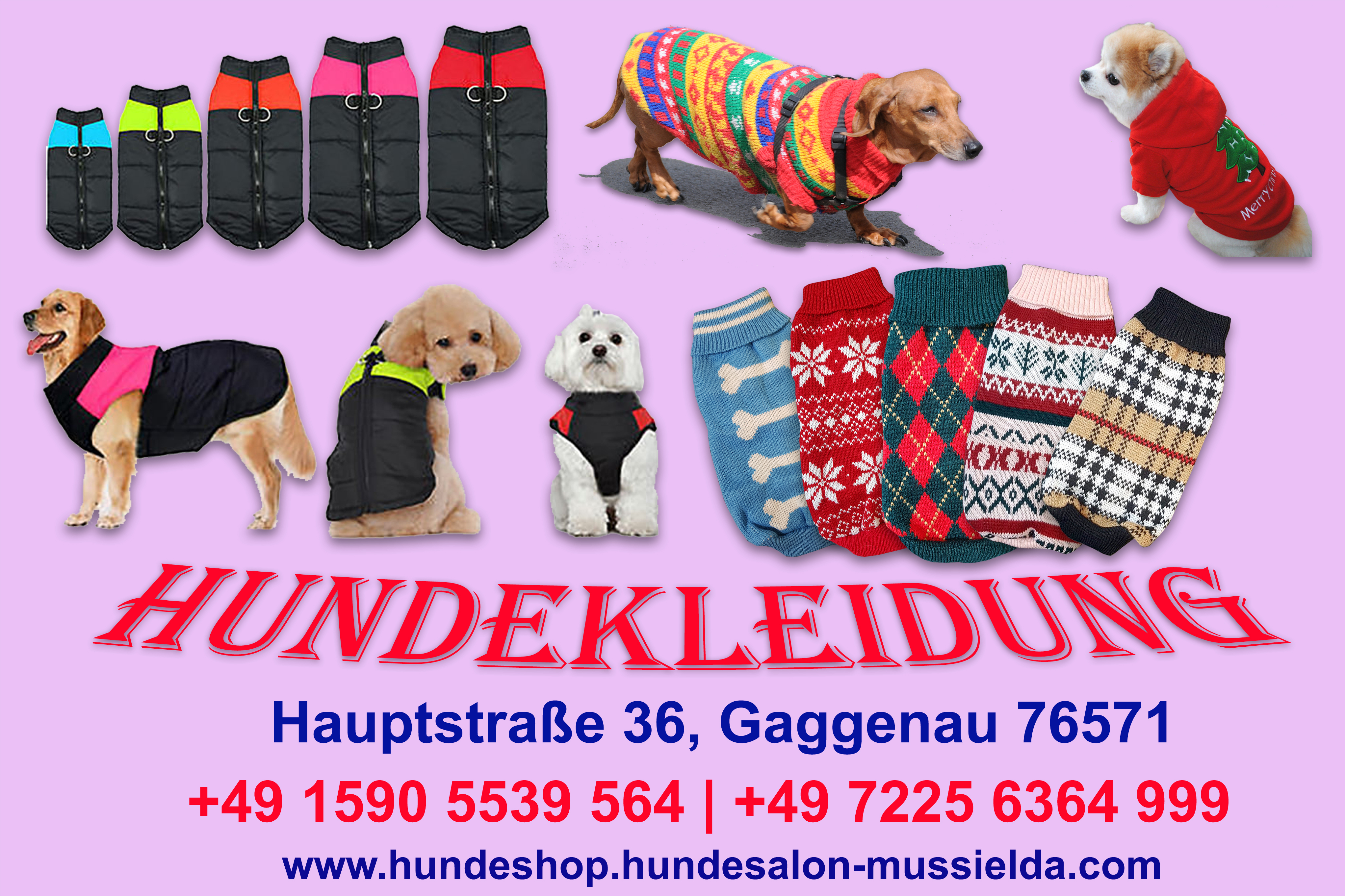 Bild 3 Hundeshop-Hundesalon Mußielda in Gaggenau