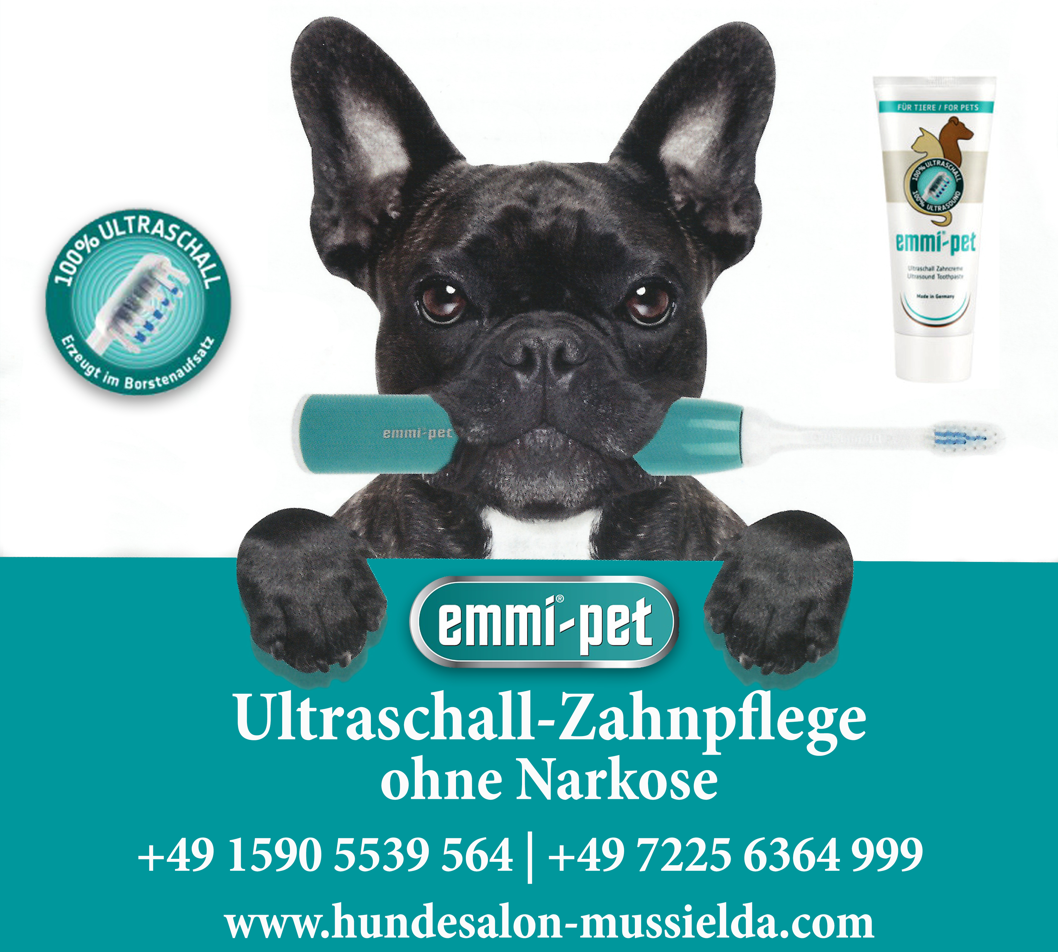 Ultraschall-Zahnreinigung für Ihren Hund mit 100% original Ultraschall/Emmi-pet  im Hundesalon Mußielda