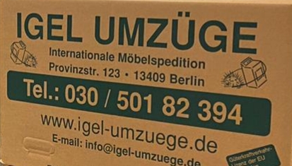 Bild 2 Igel Umzüge in Berlin