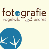 Bild 9 Fotografie vogelwild und andres in München