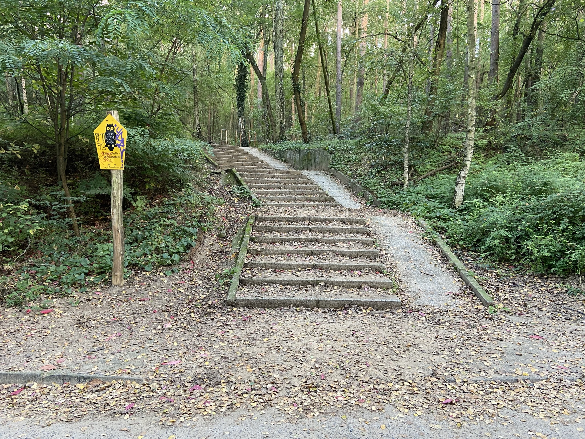 Das ist ein Foto von dem Treffpunkt der Waldspaßgruppe, die mittwochs kostenfrei stattfindet. Die Treppe befindet sich in der Nähe Kiefernring 86 in 14478 Potsdam. Mehr Infos auf www.wiegehtliebe.de
