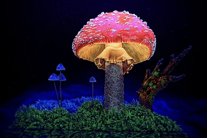 Glowingrooms 3D Schwarzlicht Minigolf