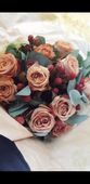 Nutzerbilder Blumen aus Holland