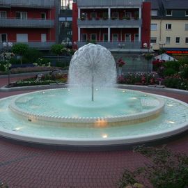 Brunnen am Serenadenhof
Pusteblume