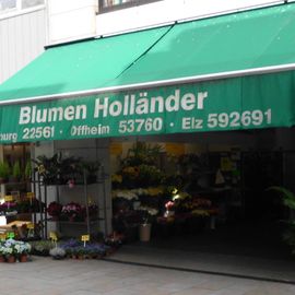 Vermey und Pennings Blumen-Holländer in Limburg an der Lahn