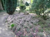 Nutzerbilder Botanischer Garten Duissern Kaiserberg