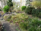 Nutzerbilder Botanischer Garten Duissern Kaiserberg