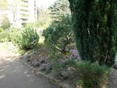 Nutzerbilder Botanischer Garten Duissern Kaiserberg