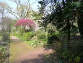 Nutzerbilder Botanischer Garten Duissern Kaiserberg