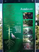 Nutzerbilder Baumwipfelpfad Bayrischer Wald