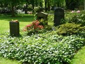 Nutzerbilder Friedhof Sternbuschweg