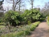 Nutzerbilder Botanischer Garten Duissern Kaiserberg