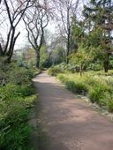 Nutzerbilder Botanischer Garten Duissern Kaiserberg