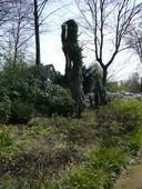 Nutzerbilder Botanischer Garten Duissern Kaiserberg