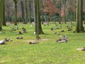 Nutzerbilder Waldfriedhof