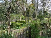 Nutzerbilder Botanischer Garten Duissern Kaiserberg