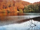 Nutzerbilder Nationalpark-Zentrum Königsstuhl Sassnitz gemeinnützige GmbH