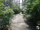 Nutzerbilder Waldfriedhof