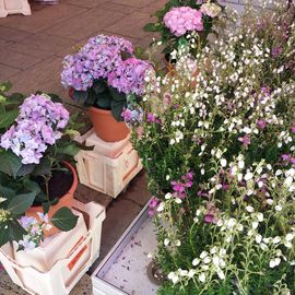 Blumen Leo Blumenhandel in Duisburg