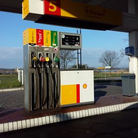 Shell in Ostseebad Sellin