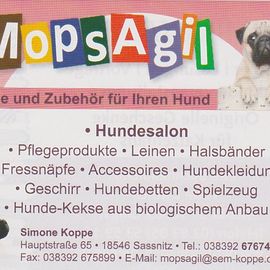 MopsAgil in Sassnitz